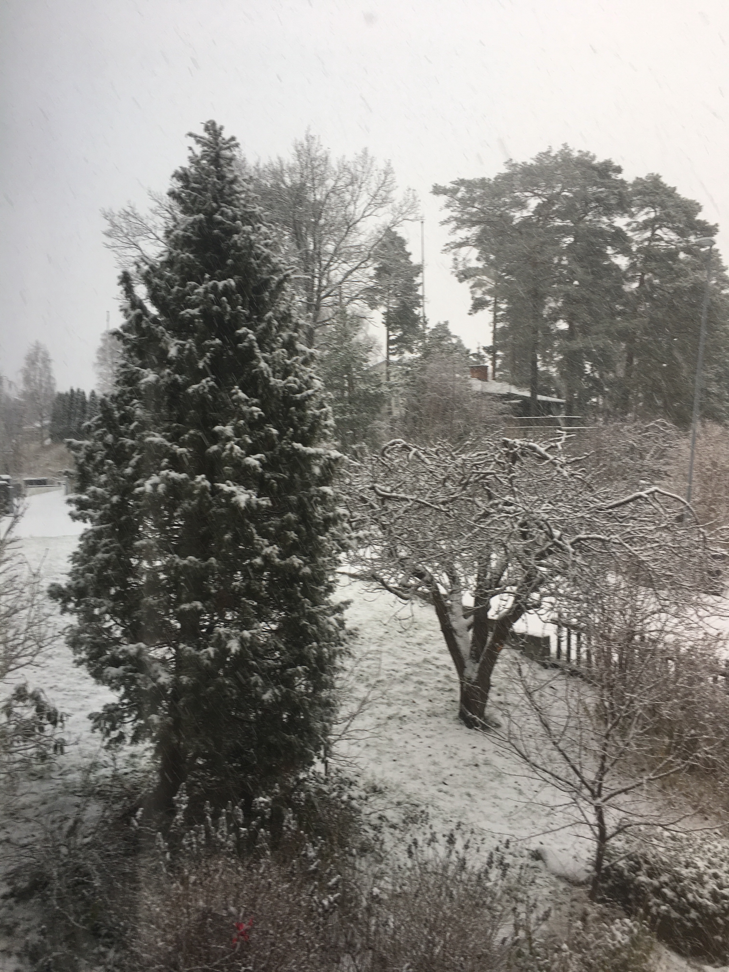 Det snöar idag längdskidåkning nästa