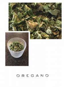 Läs mer om artikeln Oregano