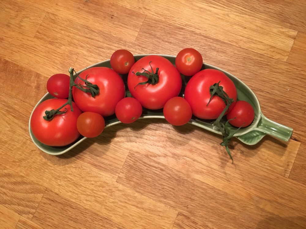 Läs mer om artikeln Värm gärna dina tomater